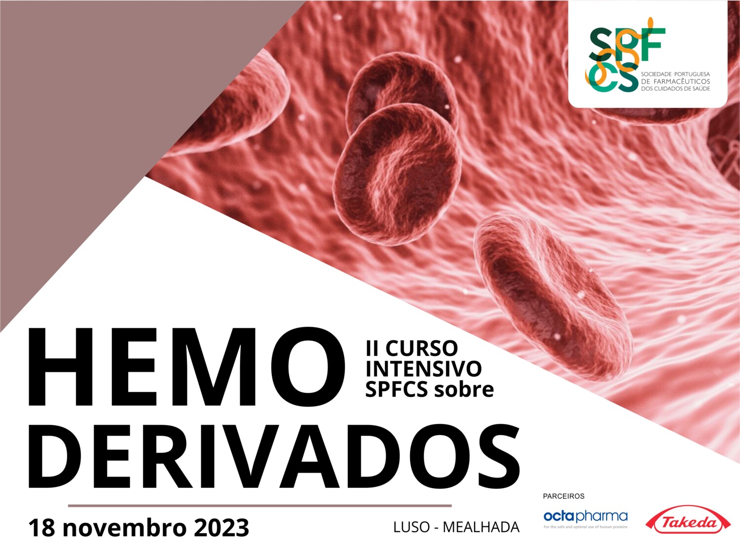 II Curso Intensivo SPFCS sobre Hemoderivados